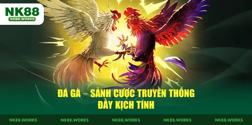 NK88 13 Đá gà – Sảnh cược truyền thống đầy kịch tính